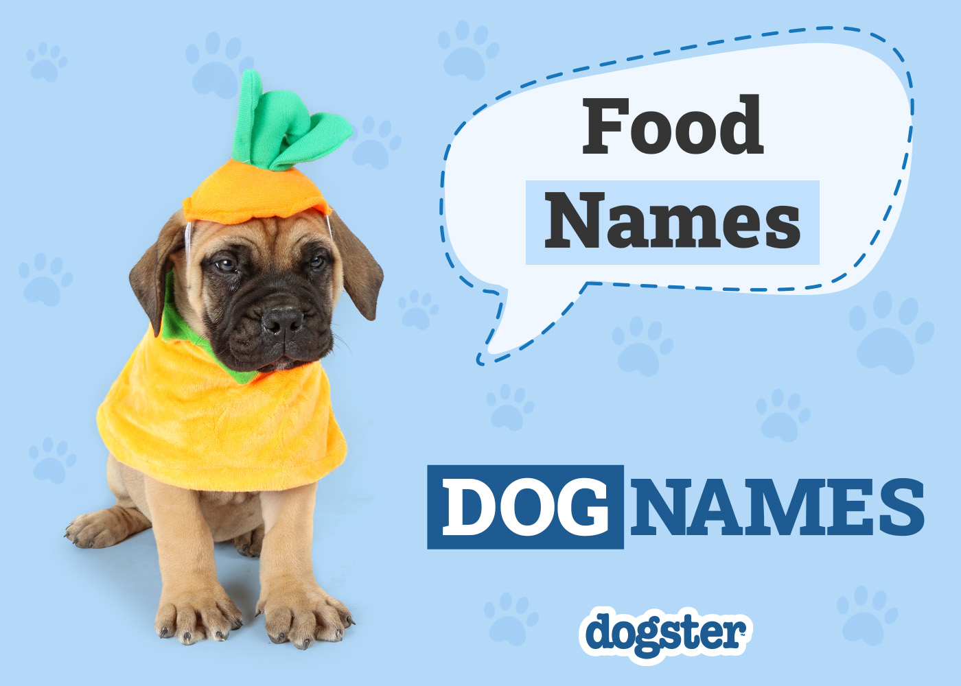 100+ Food Names for Dogs: Scrumptious Options for Your Pup