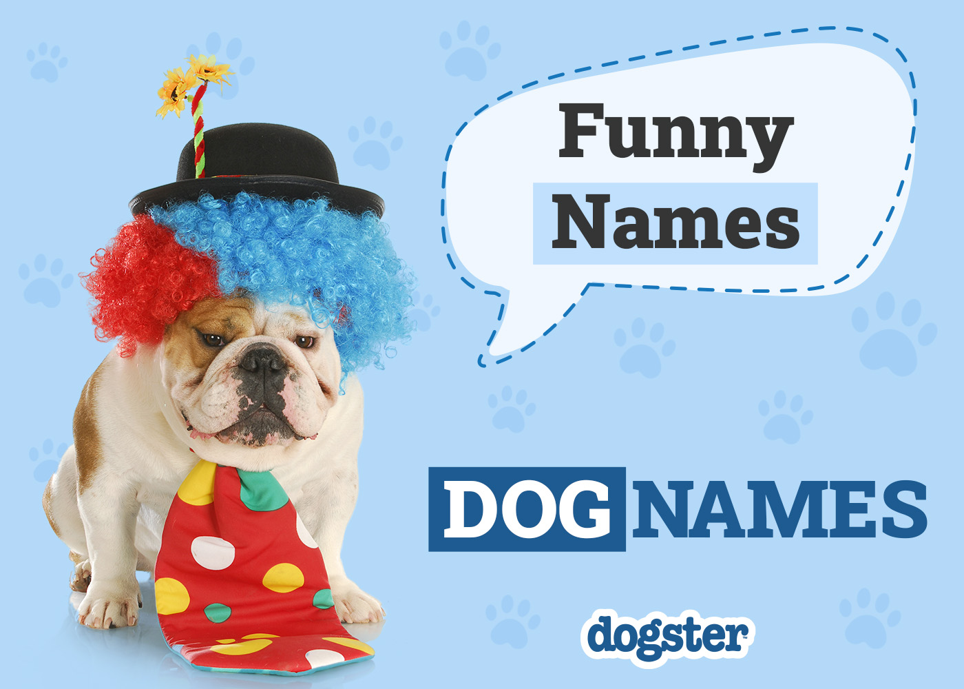 Dogster_Funny Names