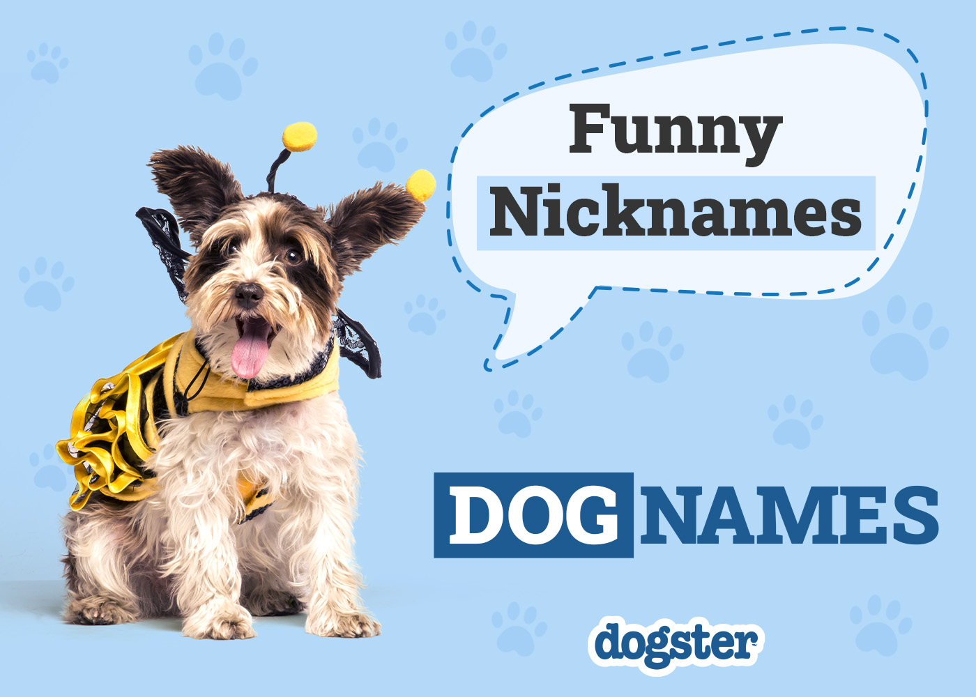 110 Nicknames for Dogs: Funny & Unique Things to Call Your Pet