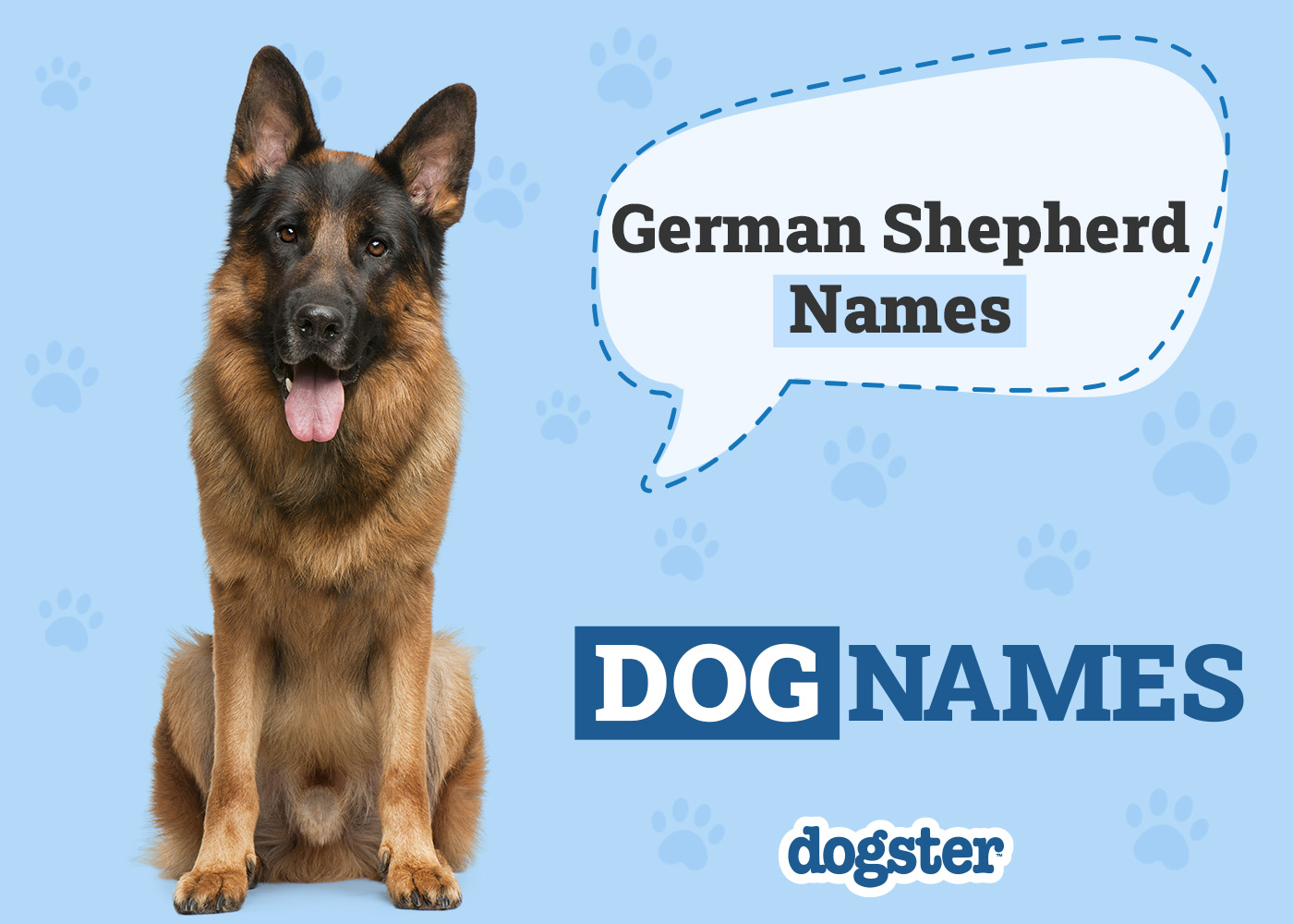 250+ German Shepherd Names: Popular & Unique Ideas 2026