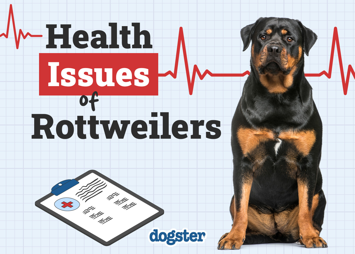 10 Common Health Problems in Rottweilers: Vet-Verified Facts