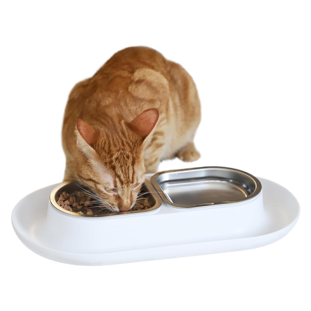 Hepper NomNom Bowl