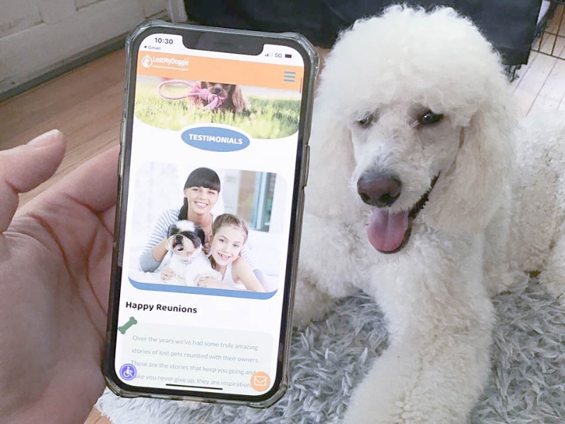 lost my doggie testimonials page