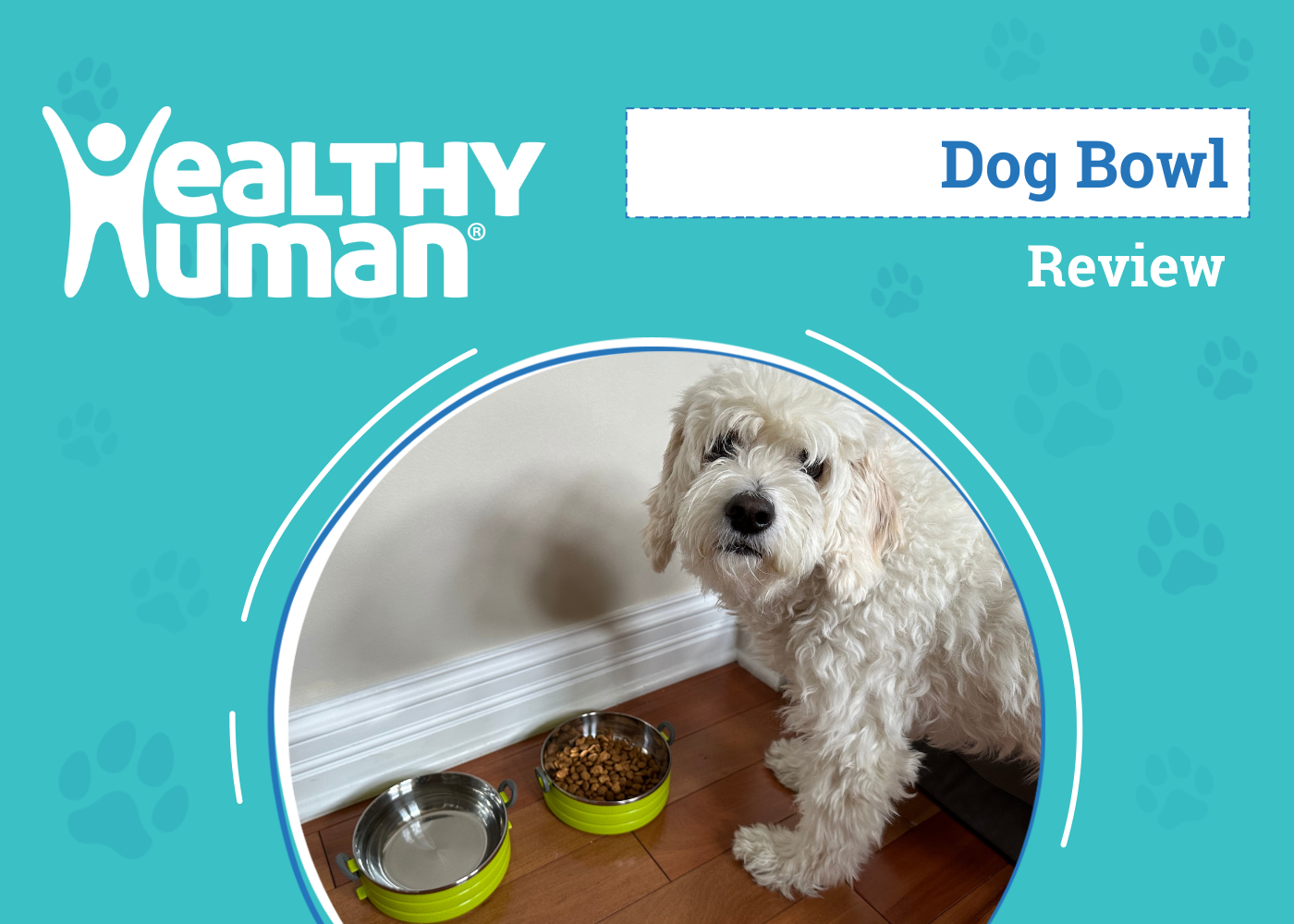 Healthy Human Pet Go Bento Bowl Review 2026: An Expert's Breakdown