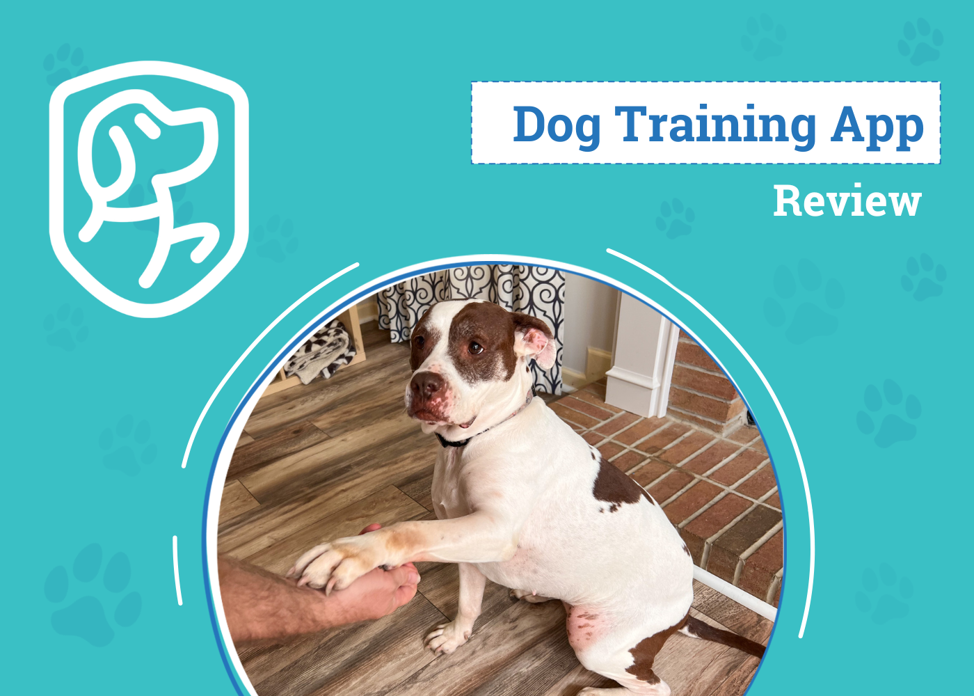Woofz Dog Training App Review 2026: An Expert's Breakdown