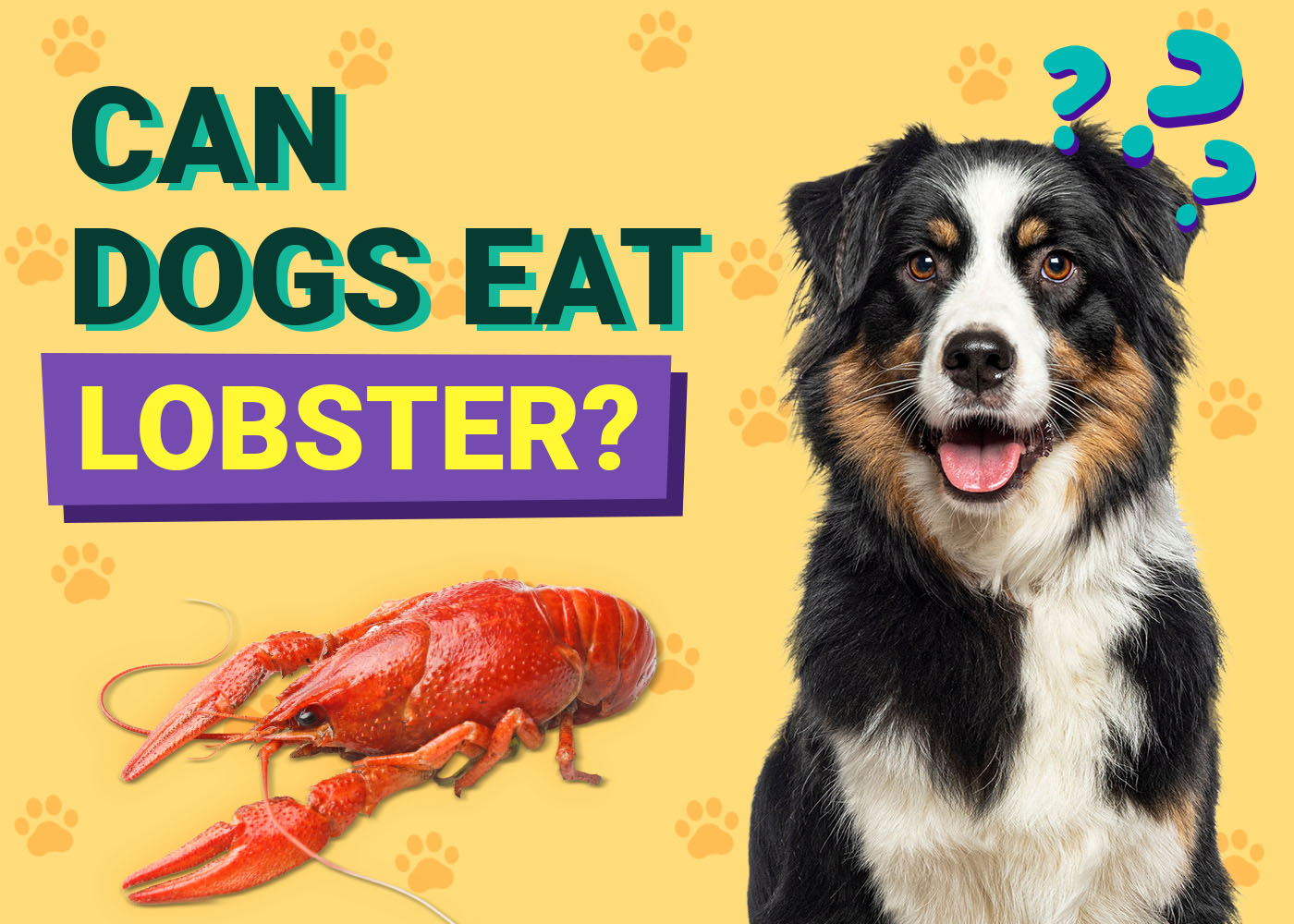 Can Dogs Eat Lobster? Vet-Approved Facts & FAQ