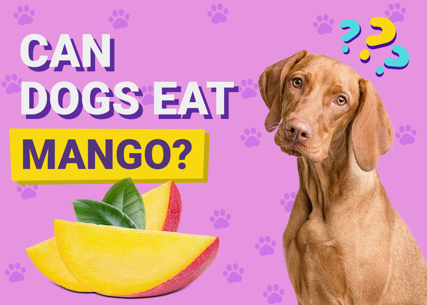 Can Dogs Eat Mango? Vet-Approved Safety & Feeding Tips