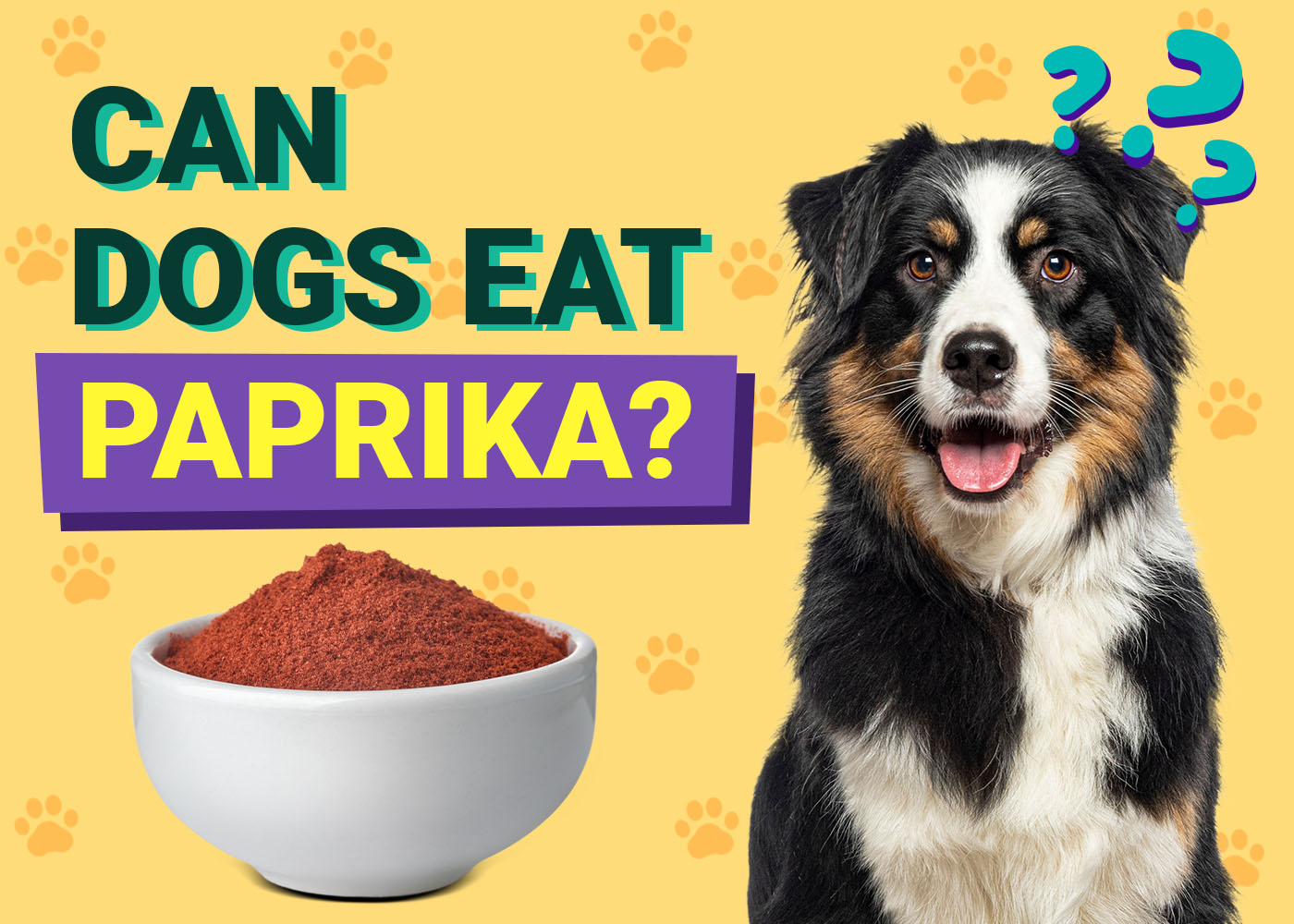 Can Dogs Eat Paprika? Vet-Reviewed Dangers & Safe Alternatives