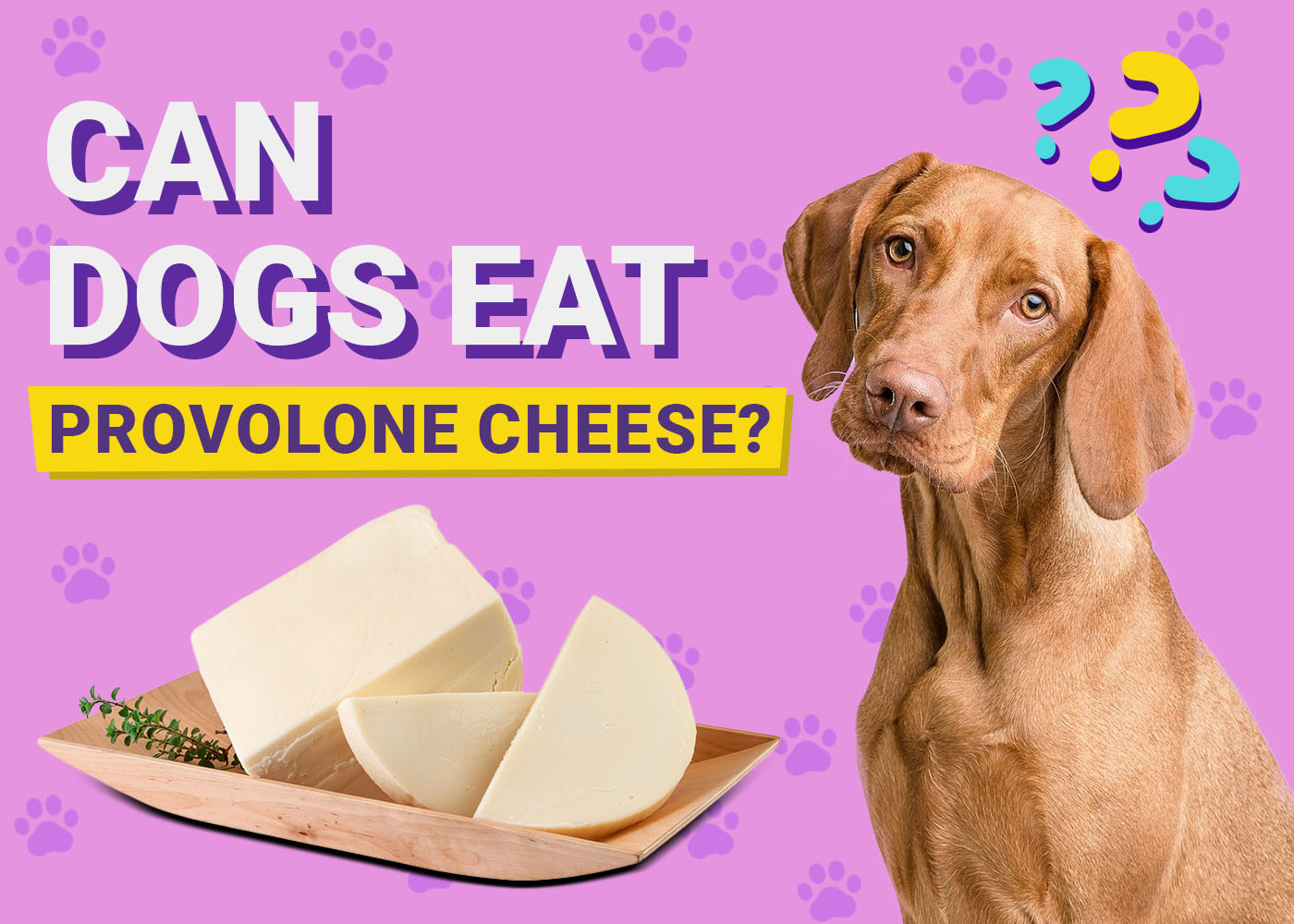 Can Dogs Eat Provolone Cheese? Vet-Verified Nutrition Facts & FAQ