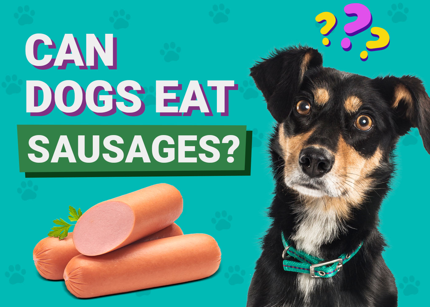 Can Dogs Eat Sausages? Vet-Verified Facts & FAQ