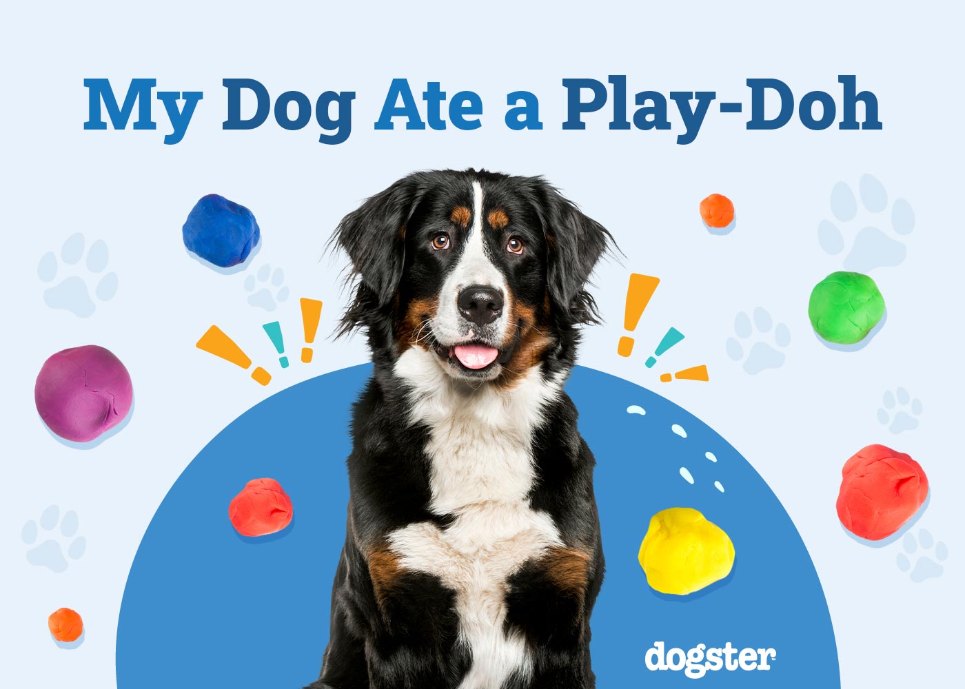 My Dog Ate Play-Doh: Should I Be Worried? (Vet Answer)