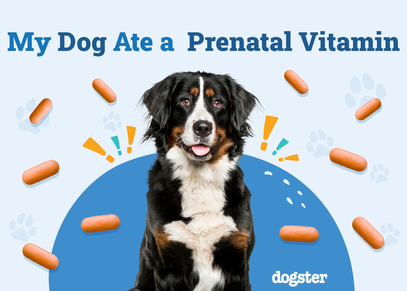 My Dog Ate a Prenatal Vitamin! Vet-Verified Risks, Signs & Treatment