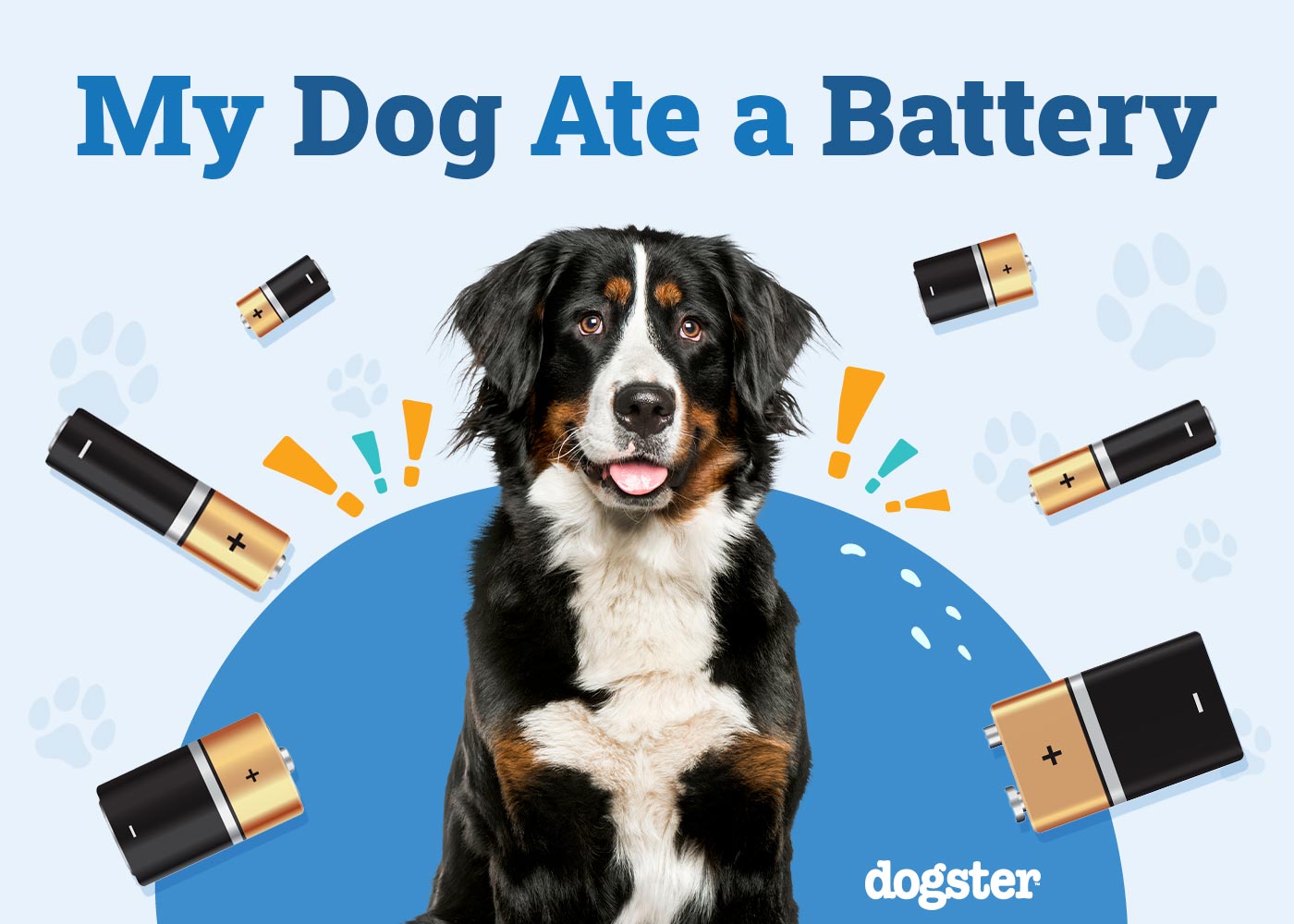 My Dog Ate a Battery