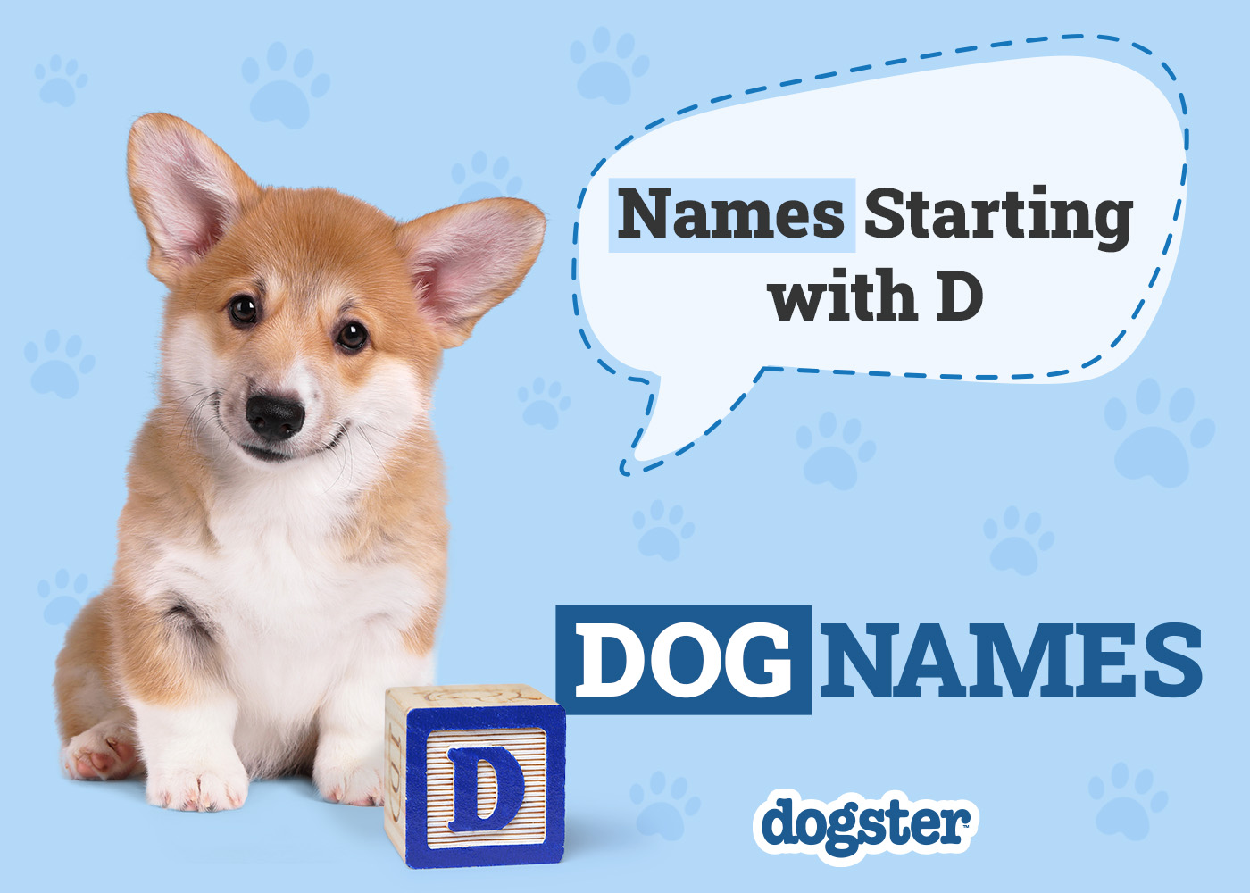330+ Dog Names That Start With D: Fun & Creative Options
