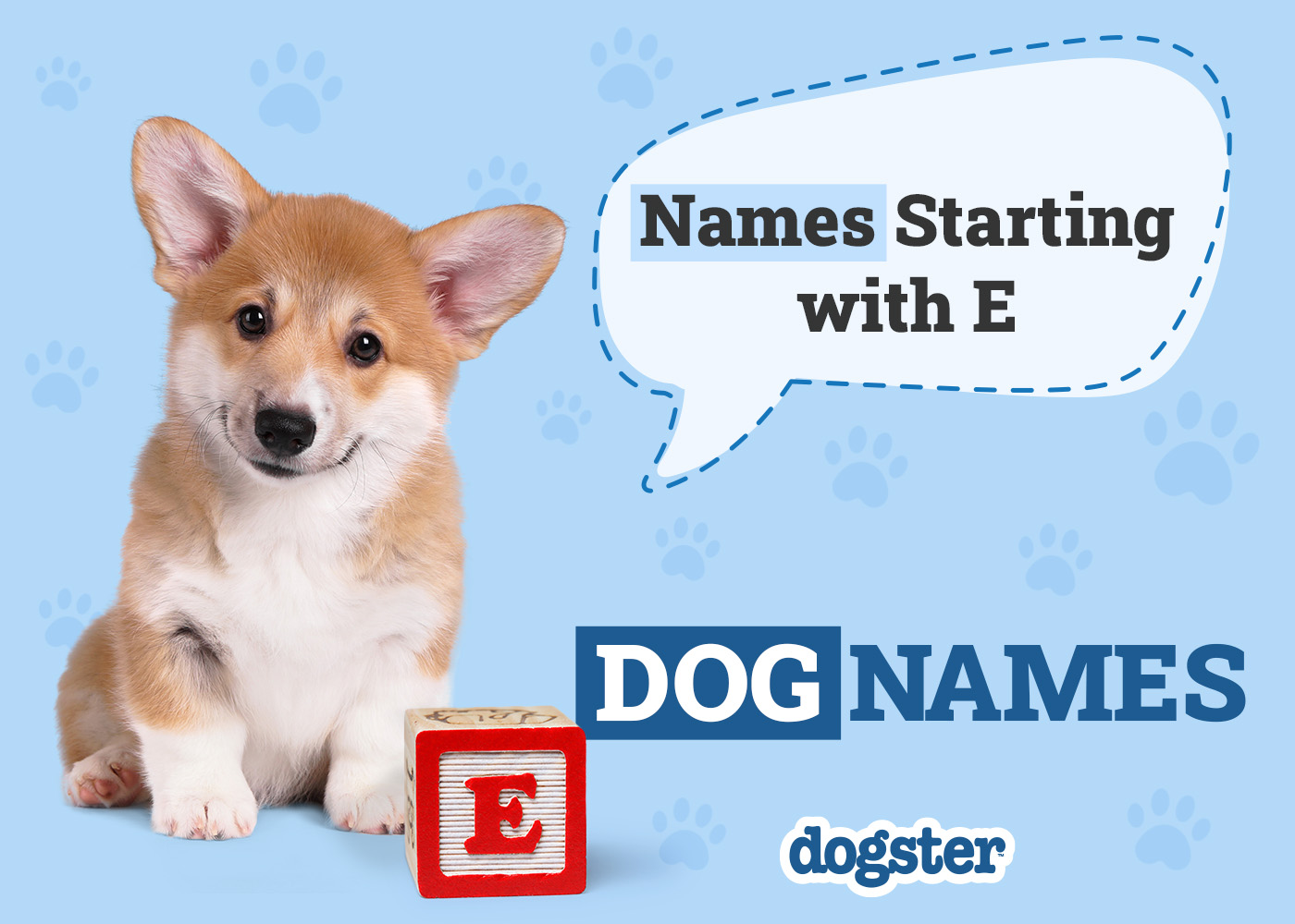 120+ Dog Names Starting With E for Your Energetic Pup