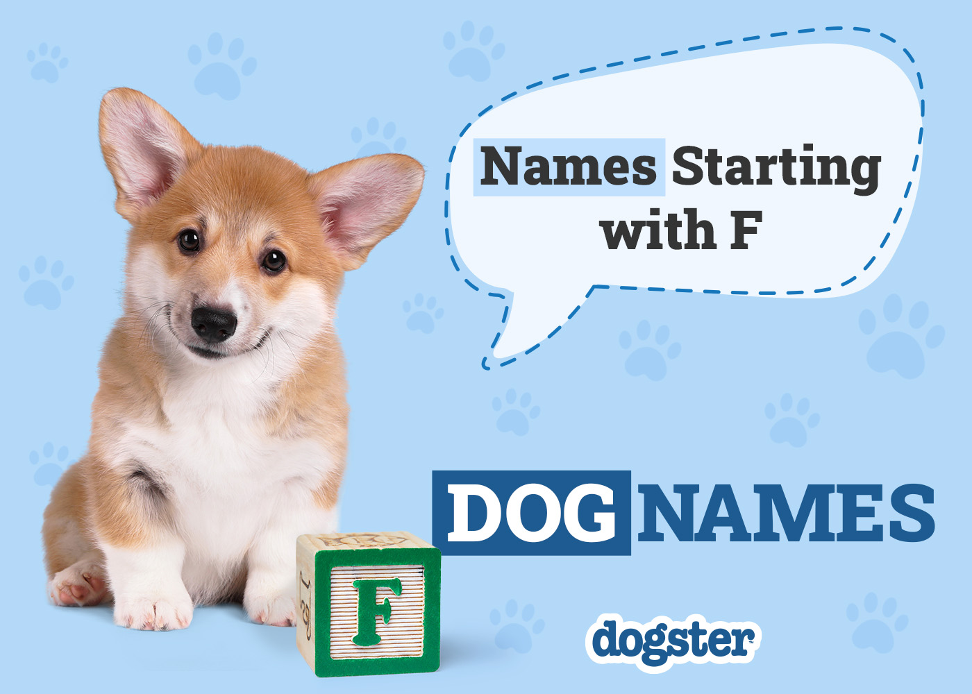 150+ Dog Names Starting With F for Your Friendly Pup