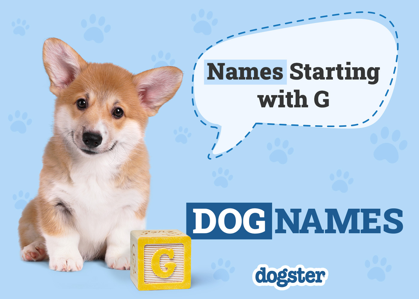 300 Dog Names Starting With G for Your Adorable Pup