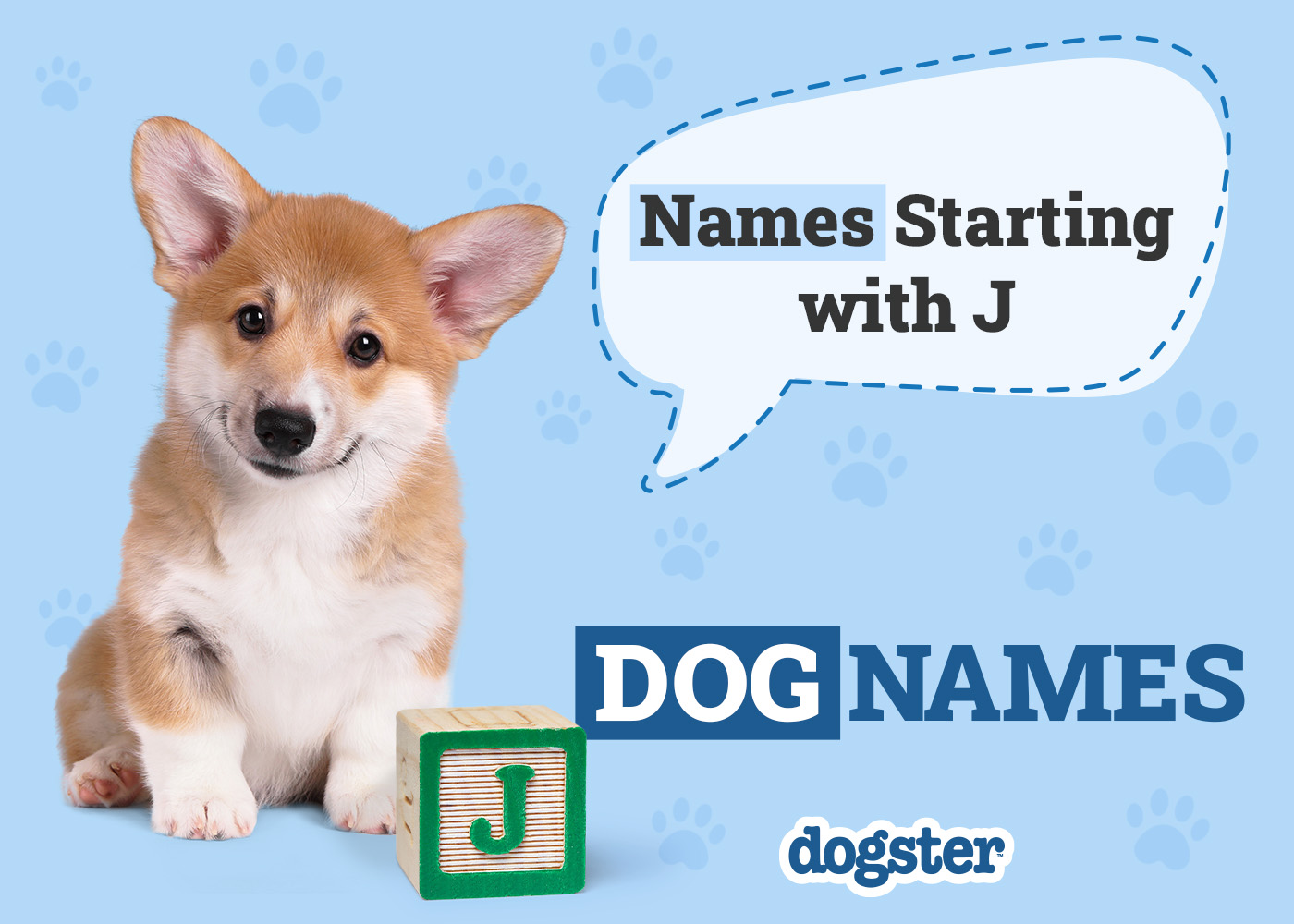 230+ Dog Names That Start With J for Your Joyous Pup!