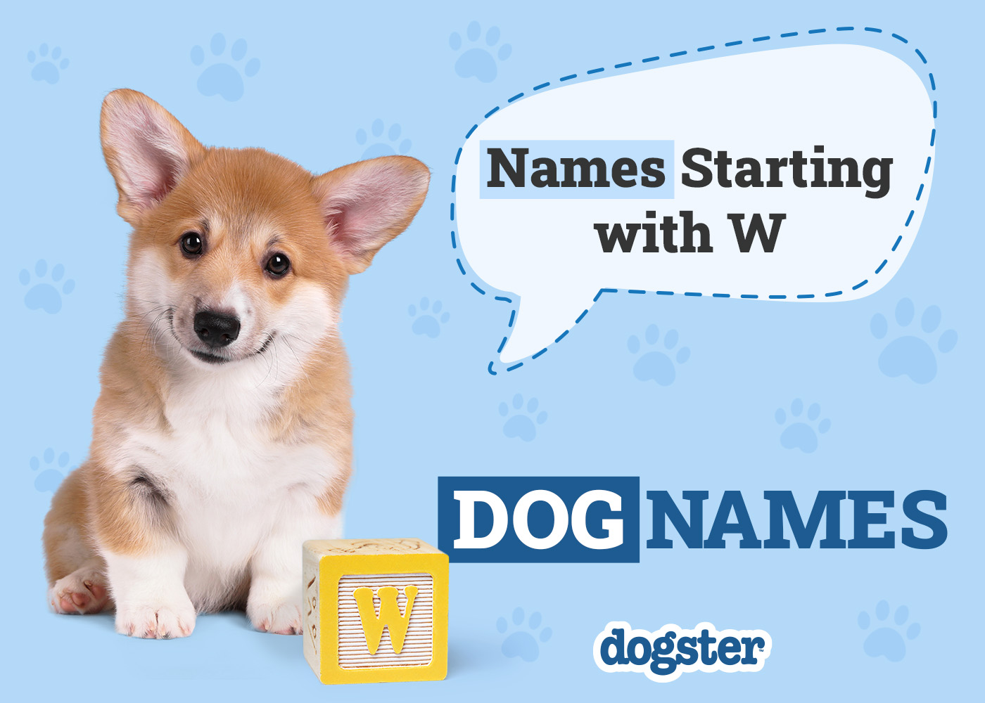 250 Dog Names Starting With W for Your Wonderful Pup
