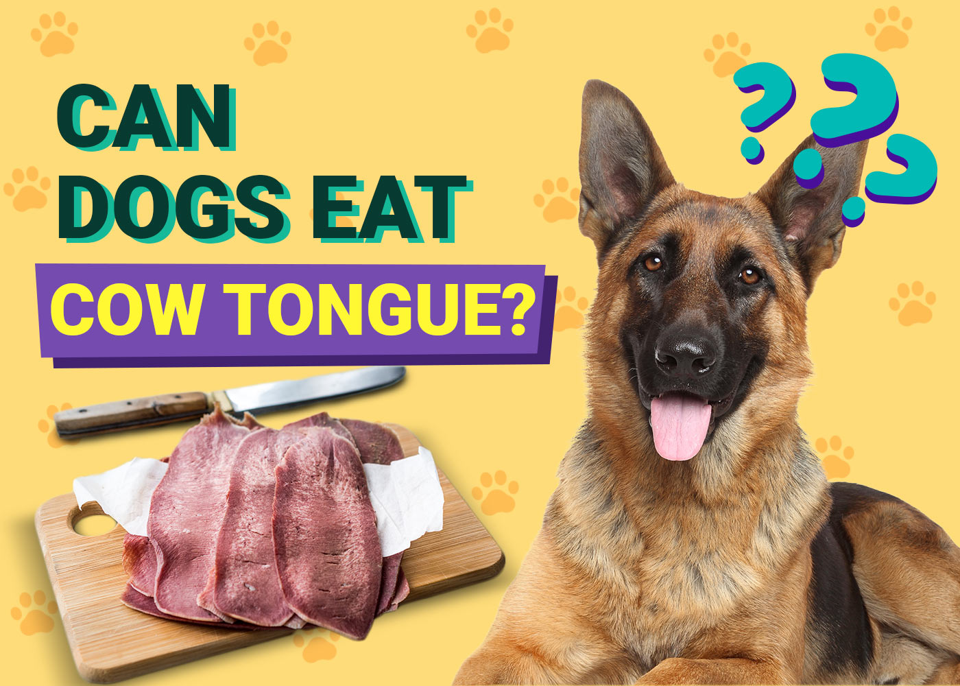 Can Dogs Eat Cow Tongues? Vet-Verified Nutrition Facts & FAQ