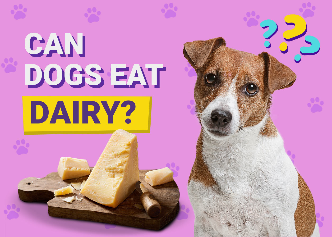 Can Dogs Eat Dairy? Vet-Verified Nutritional Guide & FAQ