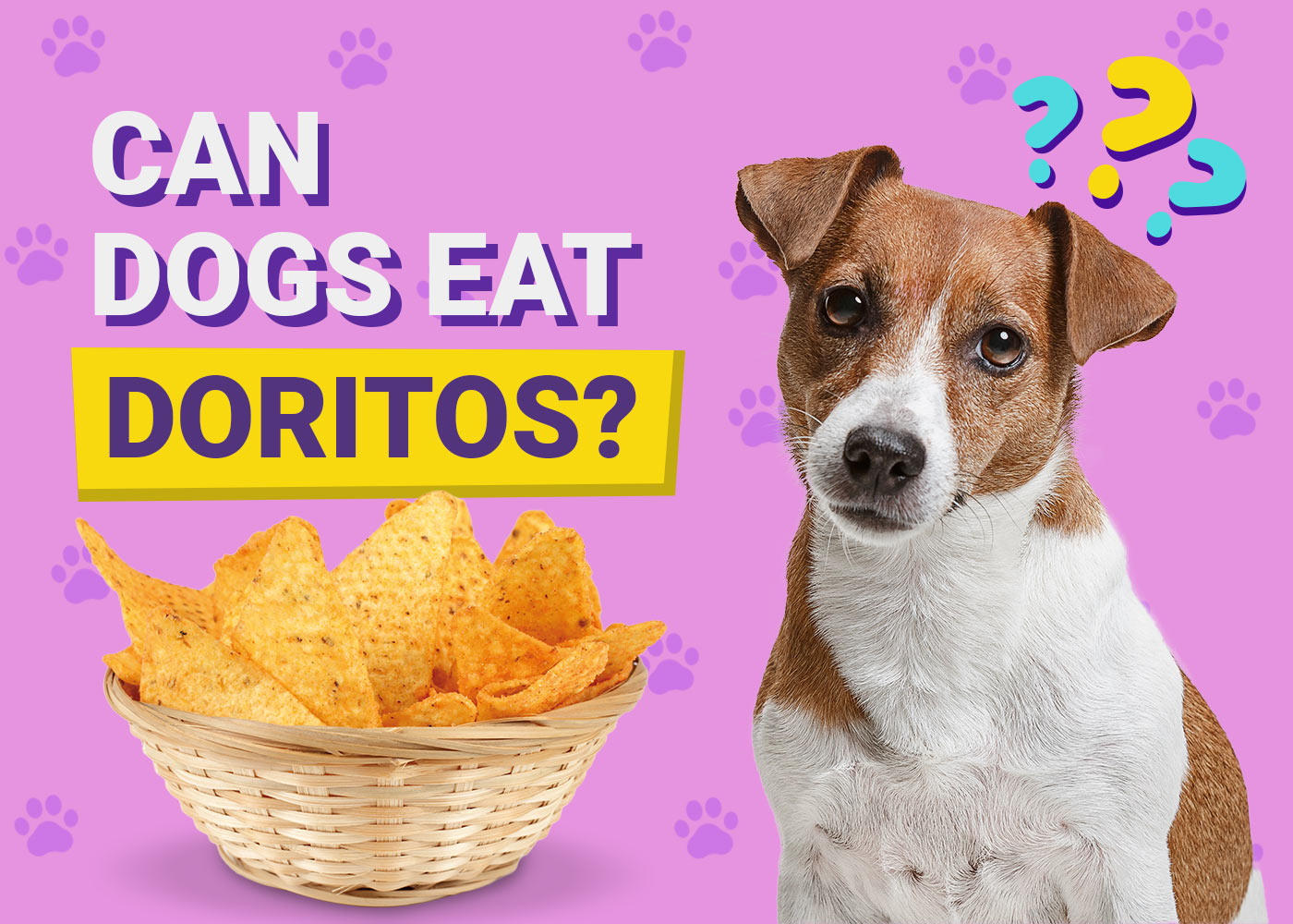 Can Dogs Eat Doritos? Vet-Reviewed Facts & FAQ