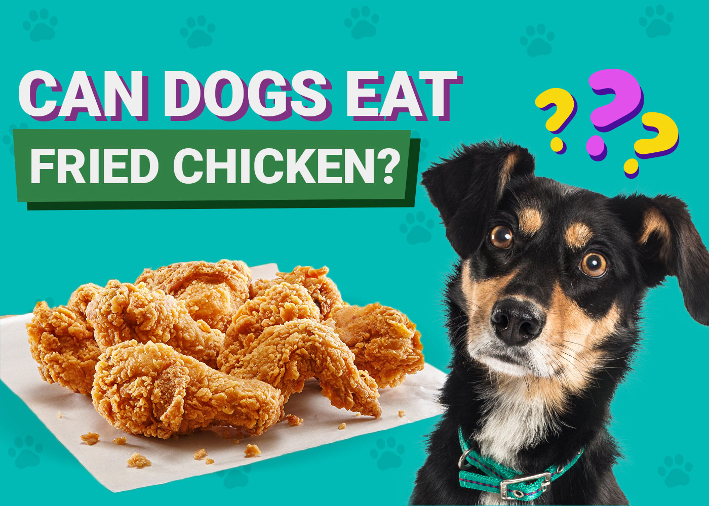 Can Dogs Eat Fried Chicken? Vet-Verified Risks, Alternatives & FAQ