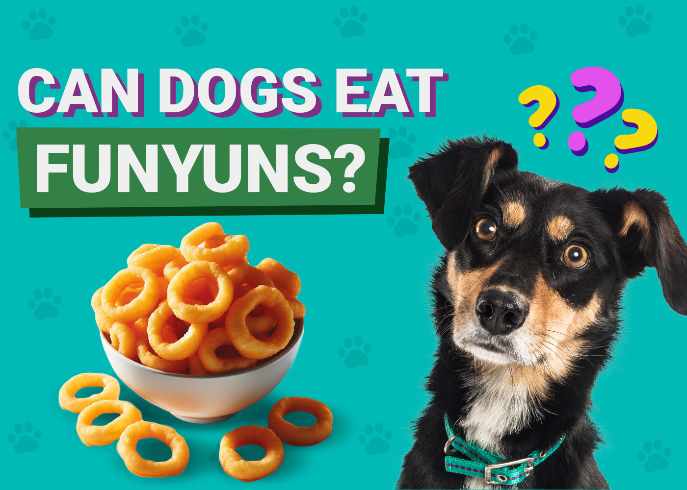 Can Dogs Eat Funyuns? Vet-Approved Facts & FAQ