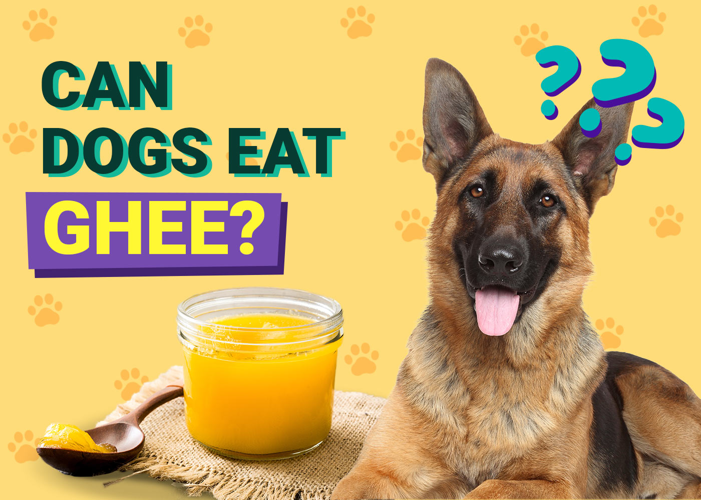 Can Dogs Eat Ghee? Vet-Approved Facts & FAQ
