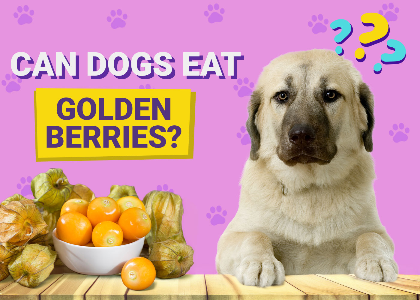 Can Dogs Eat Golden Berries? Vet-Approved Nutrition Advice