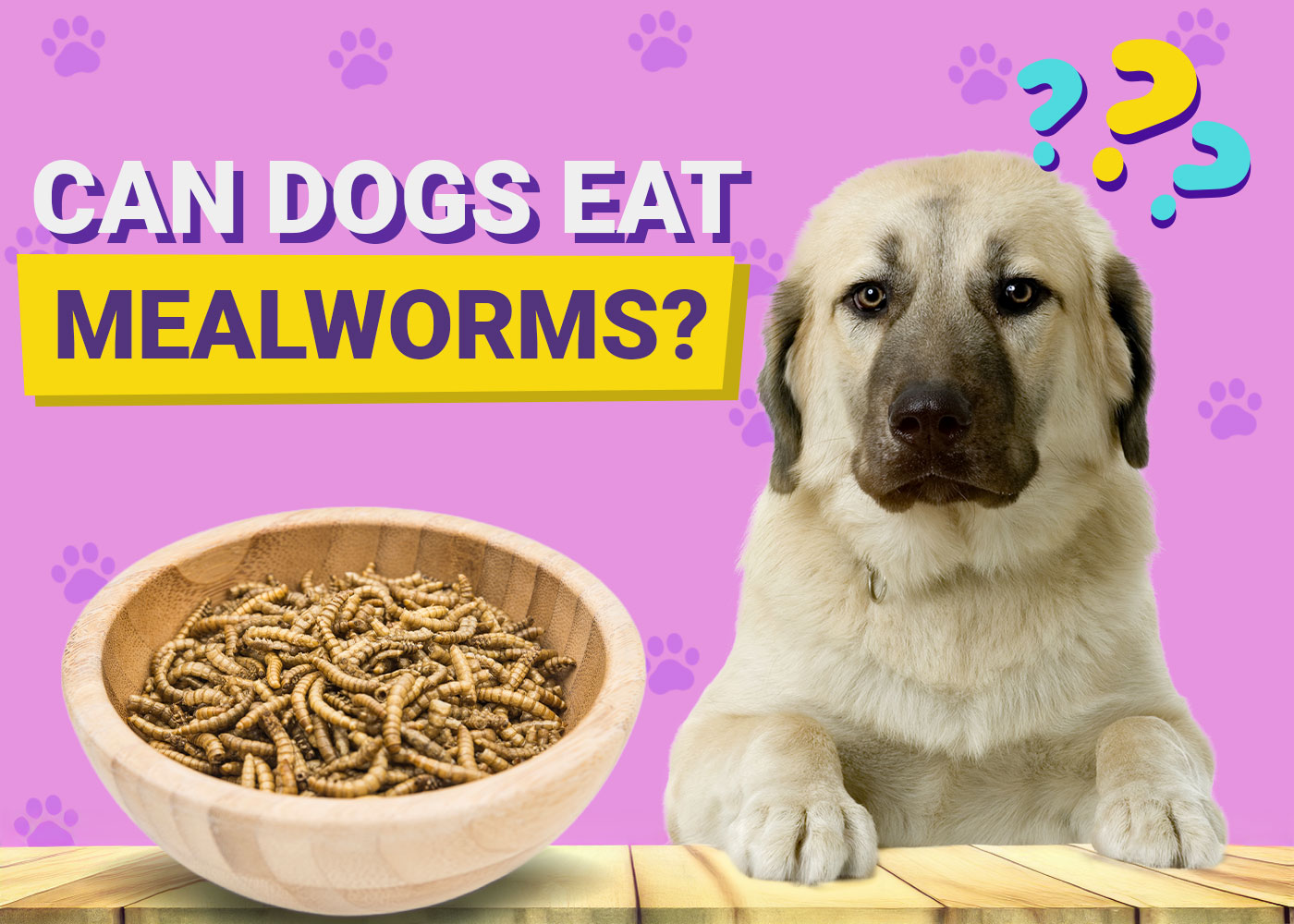 Can Dogs Eat Mealworms? Vet-Approved Nutritional Guide