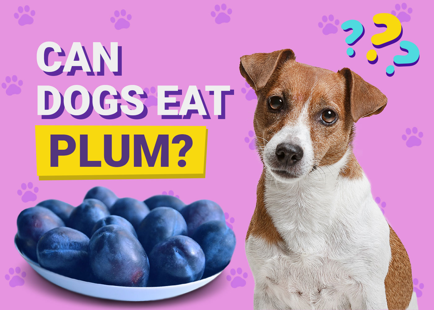 Can Dogs Eat Plums? Vet-Verified Nutrition Facts & Risks