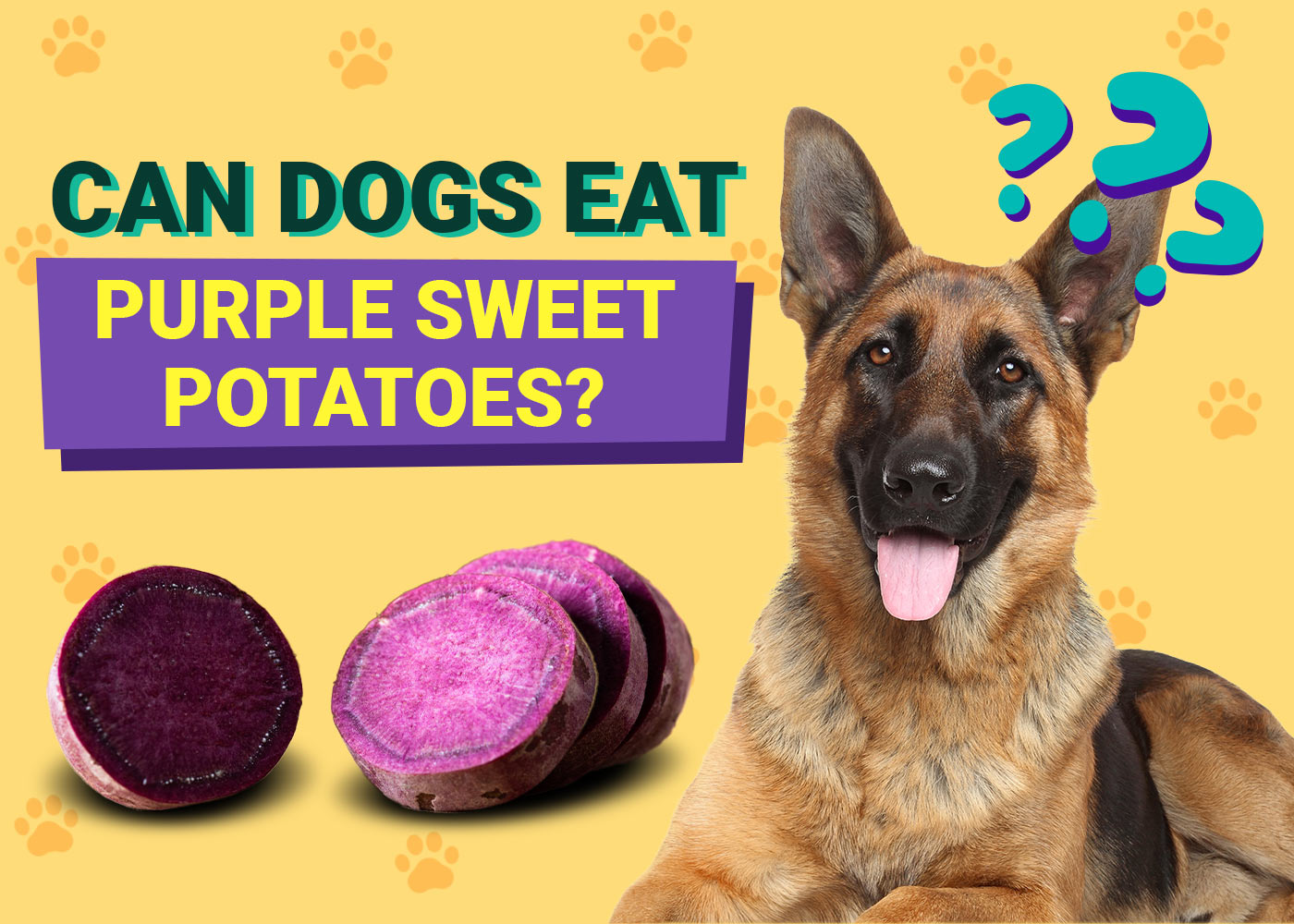 Can Dogs Eat Purple Sweet Potatoes? Vet-Verified Facts & Alternatives