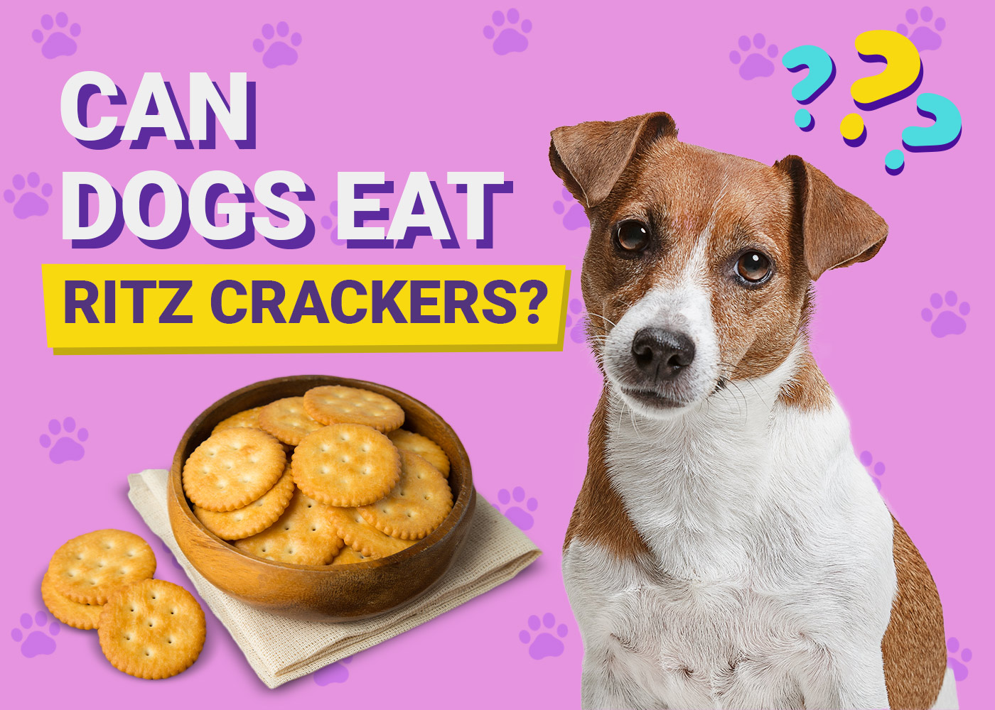 Can Dogs Eat Ritz Crackers? Vet-Reviewed Facts & Safety Guide
