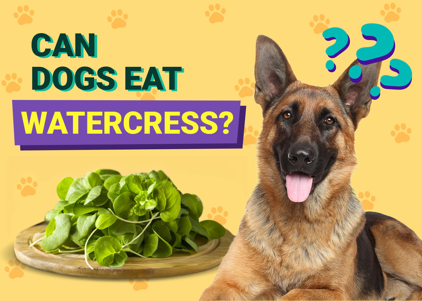 Can Dogs Eat Watercress? Vet Reviewed Facts & Safety Guide