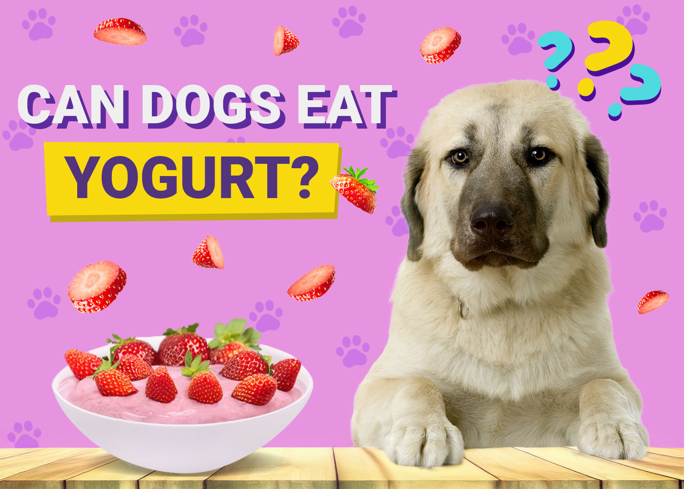 Can Dogs Eat Yogurt? Vet-Verified Nutrition Facts & FAQ
