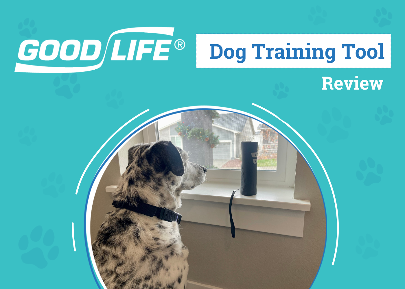 Ultimate Bark Control OnGuard Review 2026: An Expert's Breakdown