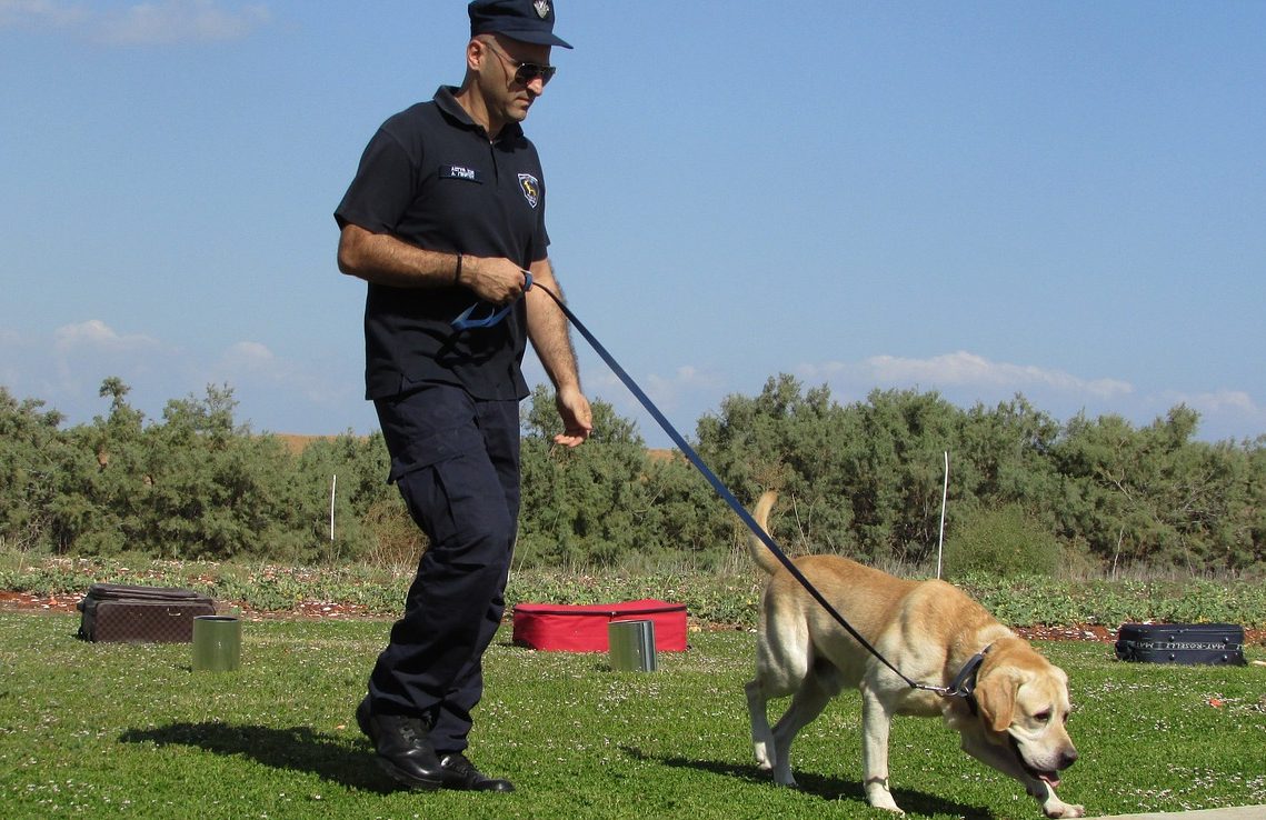 How to Become a Police Dog Trainer: Career, Requirements & More