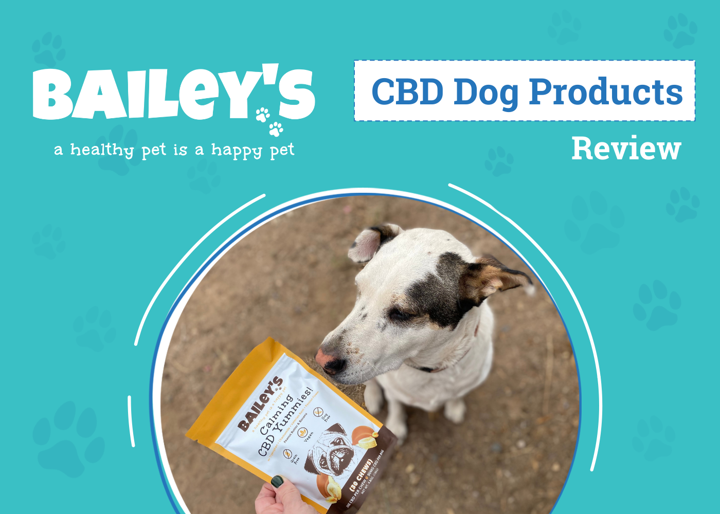 Bailey’s CBD Review 2026: An Expert's Breakdown