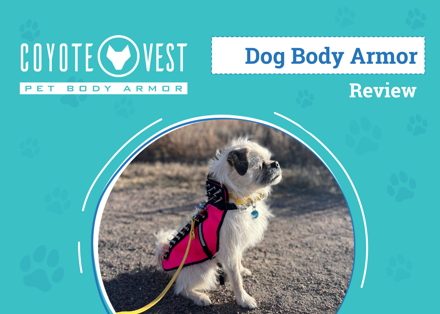 CoyoteVest Review 2026: An Expert's Breakdown