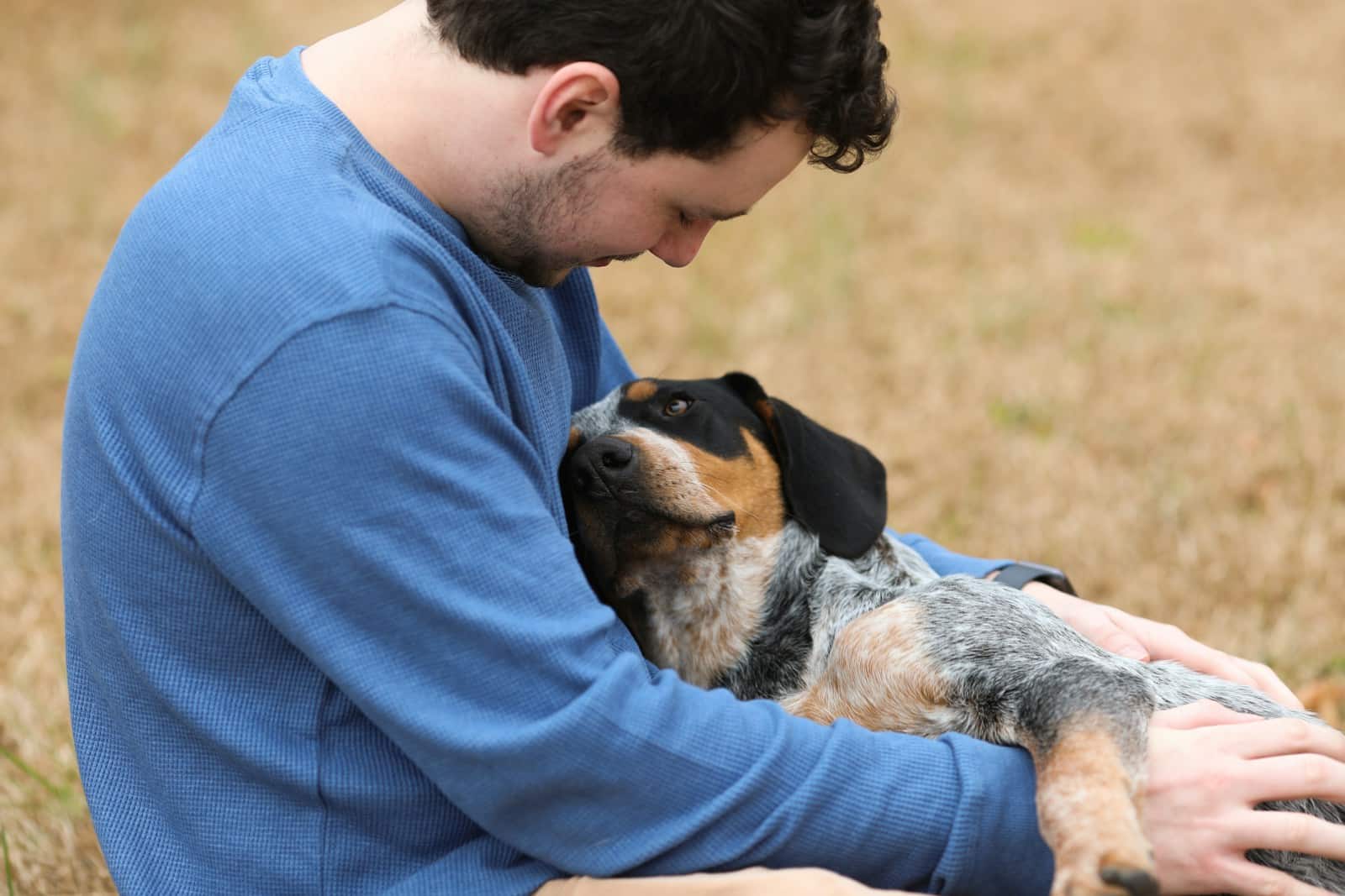 How to Protect Your Dogs If You Die First or Can No Longer Provide Care