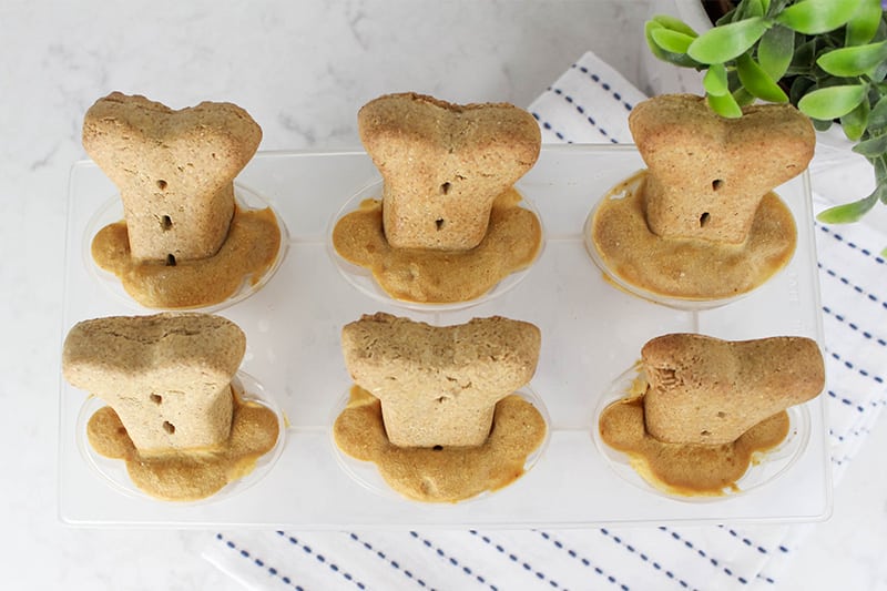Banana Pumpkin Pupsicles
