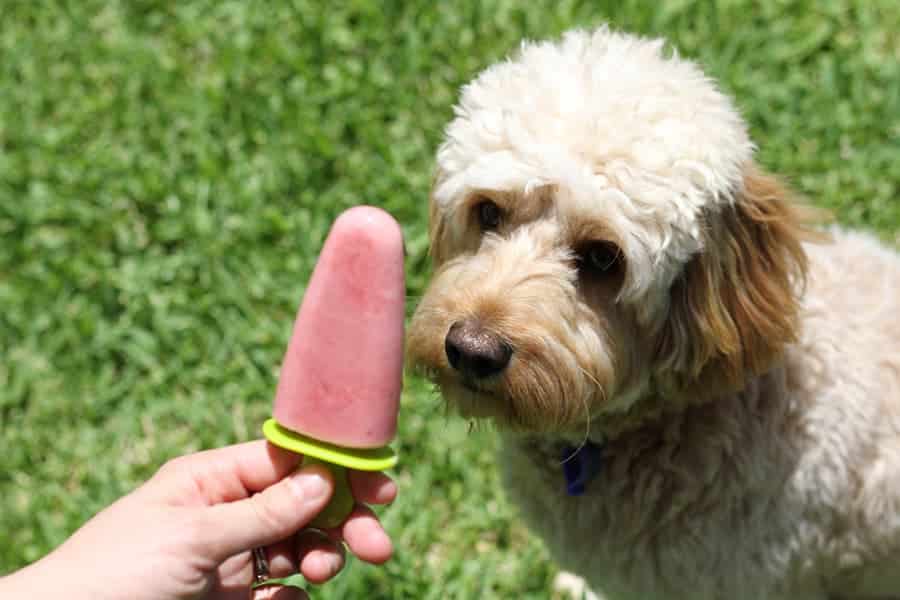 Banana Strawberry Yogurt Popsicles