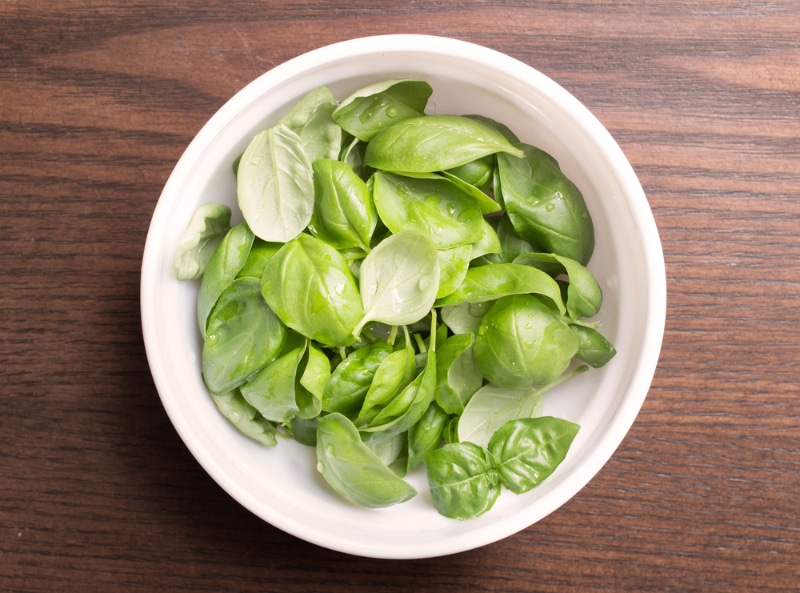 5 Herbs That Are Good for Dogs: Vet-Verified Safety & Benefits