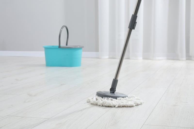 How to Clean Up Dog Diarrhea in 6 Simple Steps (Vet-Reviewed)