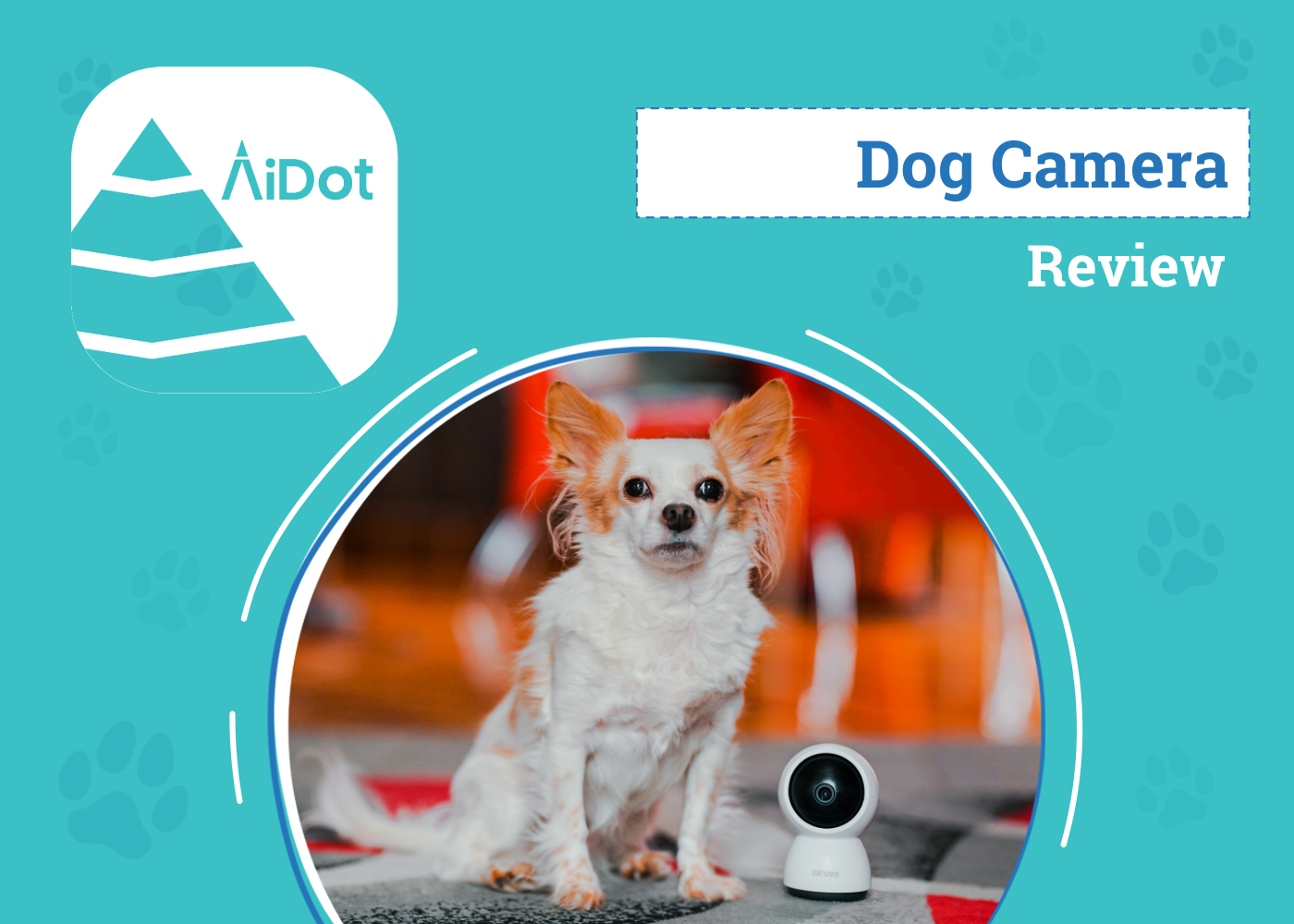 AiDot Winees M2X Review 2026: An Expert's Breakdown