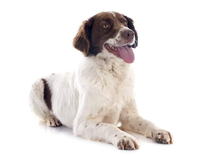 French Brittany