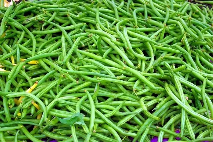 Green beans