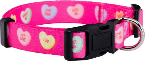 Native Pup Valentine's Day Heart Dog Collar