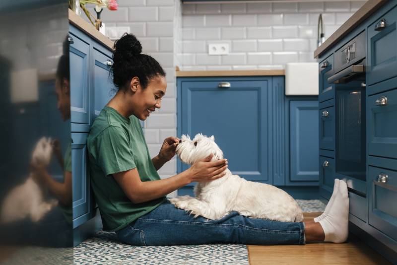 How Much Attention Do Dogs Need? Vet-Approved Care Facts
